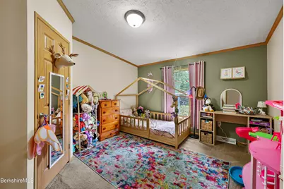548 Loop Rd, Savoy, MA 01256 - Photo 29