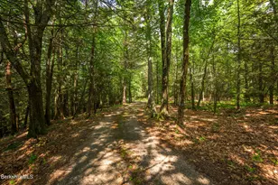 29 Jay Ln, Alford, MA 01230 - Photo 65