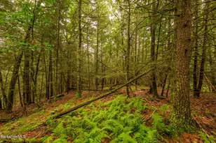 29 Jay Ln, Alford, MA 01230 - Photo 47