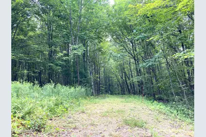 Monroe Rd, Florida, MA 01247 - Photo 5