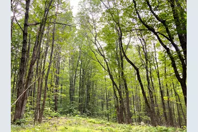 Monroe Rd, Florida, MA 01247 - Photo 3