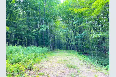 Monroe Rd, Florida, MA 01247 - Photo 1