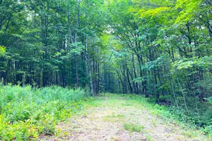 0 Monroe Rd, Florida, MA 01247 - Photo 1