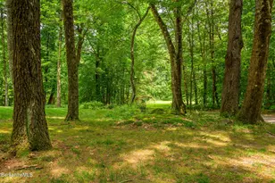 80 Center Rd, West Stockbridge, MA 01266 - Photo 51