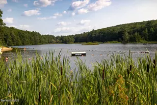 369 Deer Run Rd, Sandisfield, MA 01255 - Photo 33