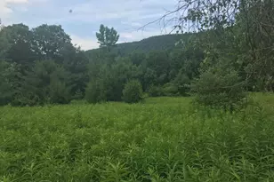 0 Lake Buel Rd, Great Barrington, MA 01230 - Photo 1