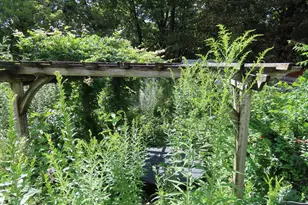 15 Meadow St, Adams, MA 01220 - Photo 23