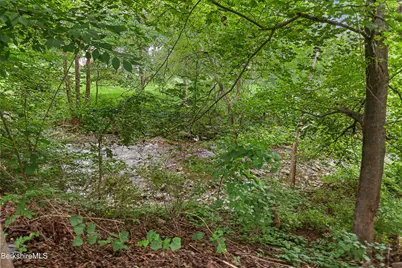 253 North St, Williamstown, MA 01267 - Photo 33