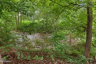 253 North St, Williamstown, MA 01267 - Photo 33