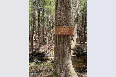 365 Deer Run --, Sandisfield, MA 01255 - Photo 21