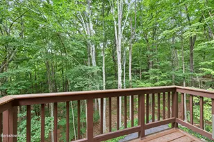 119 Buxton Hill Rd, Williamstown, MA 01267 - Photo 31