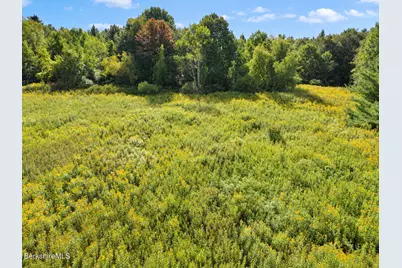 0 Stebbins Rd, Otis, MA 01253 - Photo 5