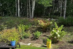 245 Cheshire Rd, Pittsfield, MA 01201 - Photo 21