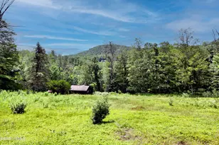 66 Scott Rd, Lanesborough, MA 01237 - Photo 1