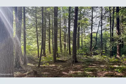Lot 100 Trail Circle, Becket, MA 01223 - Photo 3