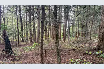 Lot 100 Trail Circle, Becket, MA 01223 - Photo 9