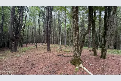 Lot2-34 Werden Rd, Otis, MA 01253 - Photo 15