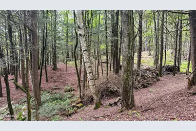 Lot2-34 Werden Rd, Otis, MA 01253 - Photo 5