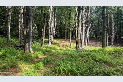 Lot2-34 Werden Rd, Otis, MA 01253 - Photo 11