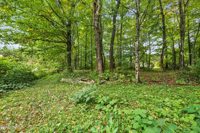 19 Lynne Ct, Lanesborough, MA 01237 - Photo 53