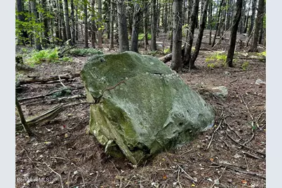 0 Daniels Rd, North Adams, MA 01247 - Photo 9