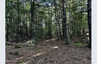 0 Daniels Rd, North Adams, MA 01247 - Photo 7