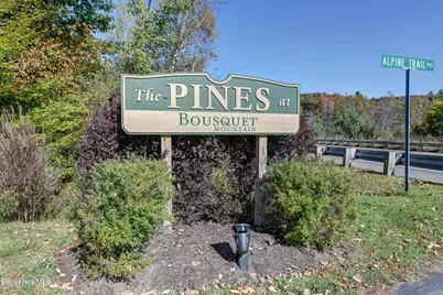 138 Alpine Trail, Pittsfield, MA 01201 - Photo 51