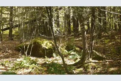 0 Town Hill Rd, Middlefield, MA 01243 - Photo 5