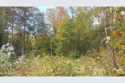 0 Town Hill Rd, Middlefield, MA 01243 - Photo 11
