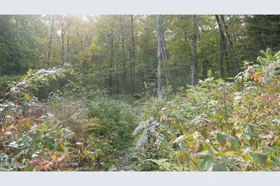 0 Town Hill Rd, Middlefield, MA 01243 - Photo 13