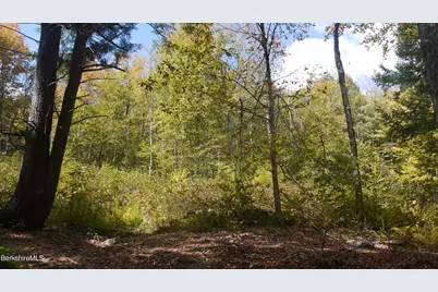 0 Town Hill Rd, Middlefield, MA 01243 - Photo 9