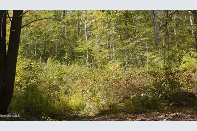 0 Town Hill Rd, Middlefield, MA 01243 - Photo 7