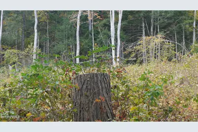 0 Town Hill Rd, Middlefield, MA 01243 - Photo 23
