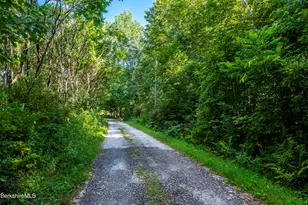 13 Silver St, Lanesborough, MA 01237 - Photo 31