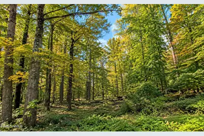 Lot 2 Ma-41, Richmond, MA 01254 - Photo 7