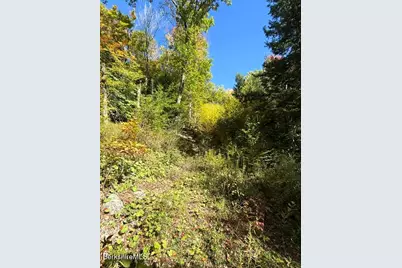 0 Rathbun Rd, Hancock, MA 01237 - Photo 5