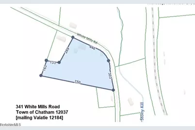 341 White Mills Rd, Chatham, NY 12037 - Photo 5