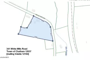 341 White Mills Rd, Chatham, NY 12037 - Photo 5