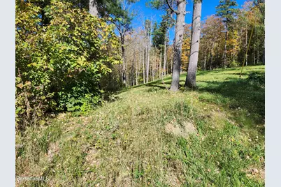 0 Stormview Rd, Lanesborough, MA 01237 - Photo 3