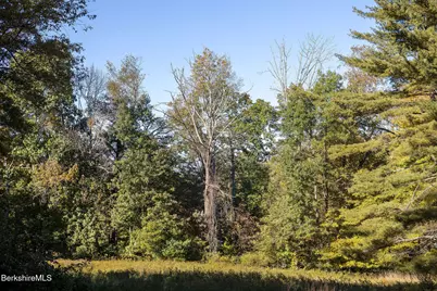 85 West Rd, Alford, MA 01266 - Photo 29