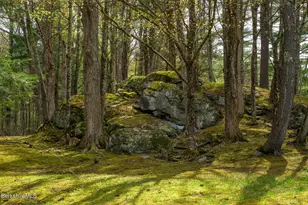 264 & 260 Main Rd, Tyringham, MA 01264 - Photo 49