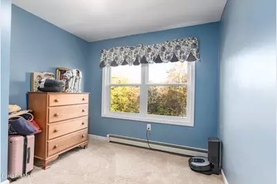 36 Mountain Pond Ln, New Ashford, MA 01237 - Photo 37