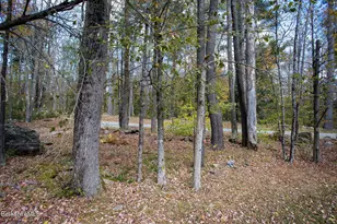 429 W Center Rd, Otis, MA 01253 - Photo 5