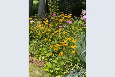 33 Highlawn Dr, Pittsfield, MA 01201 - Photo 35