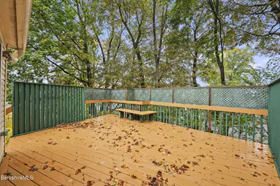 19 Draper Ave, Pittsfield, MA 01201 - Photo 35