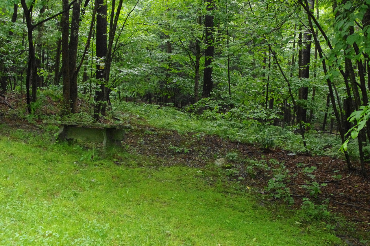 Green River Valley Rd, Alford, MA 01266 MLS 221898 Coldwell Banker