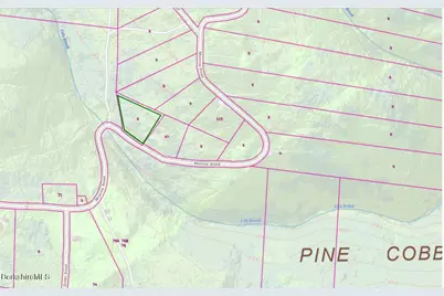 Monroe Road, Florida, MA 01247 - Photo 1