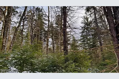 0 Spruce Dr, Peru, MA 01235 - Photo 1