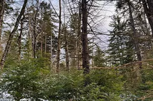 0 Spruce Dr, Peru, MA 01235 - Photo 1