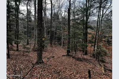 Lot 83 Moberg Rd, Becket, MA 01223 - Photo 1